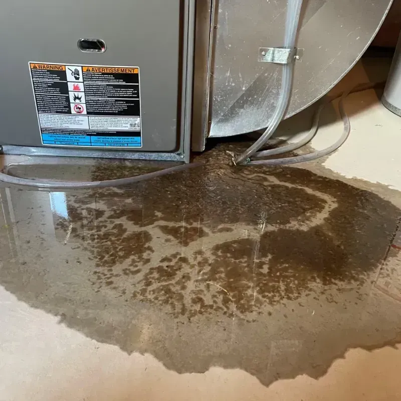 Appliance Leak Cleanup in Bremen, OH